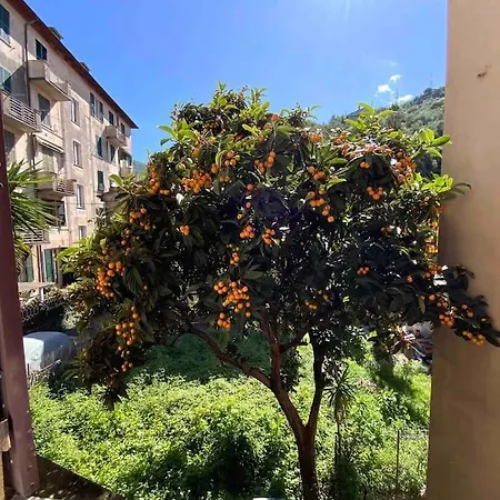 아파트 Amazing Grace *