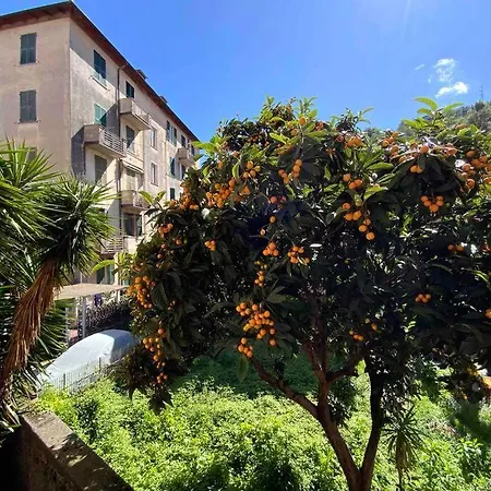 Apartment Amazing Grace