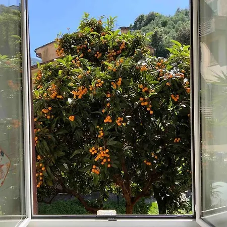 Amazing Grace Apartment