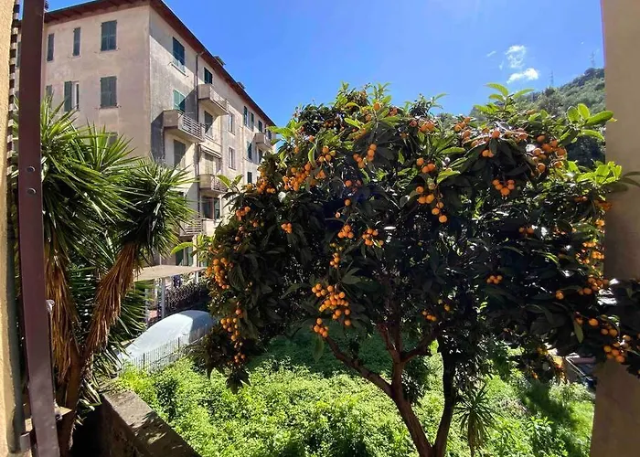 Apartment Amazing Grace