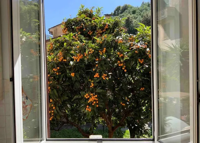 Amazing Grace Apartment